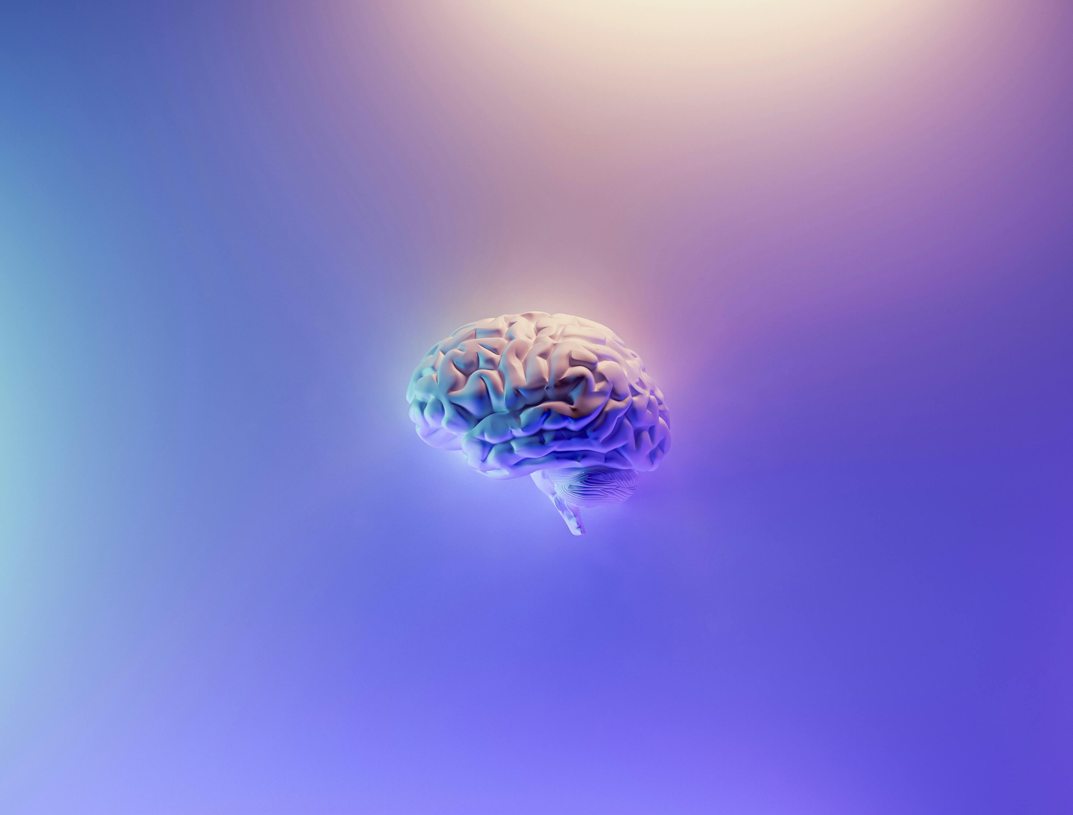 Neuropsychologie