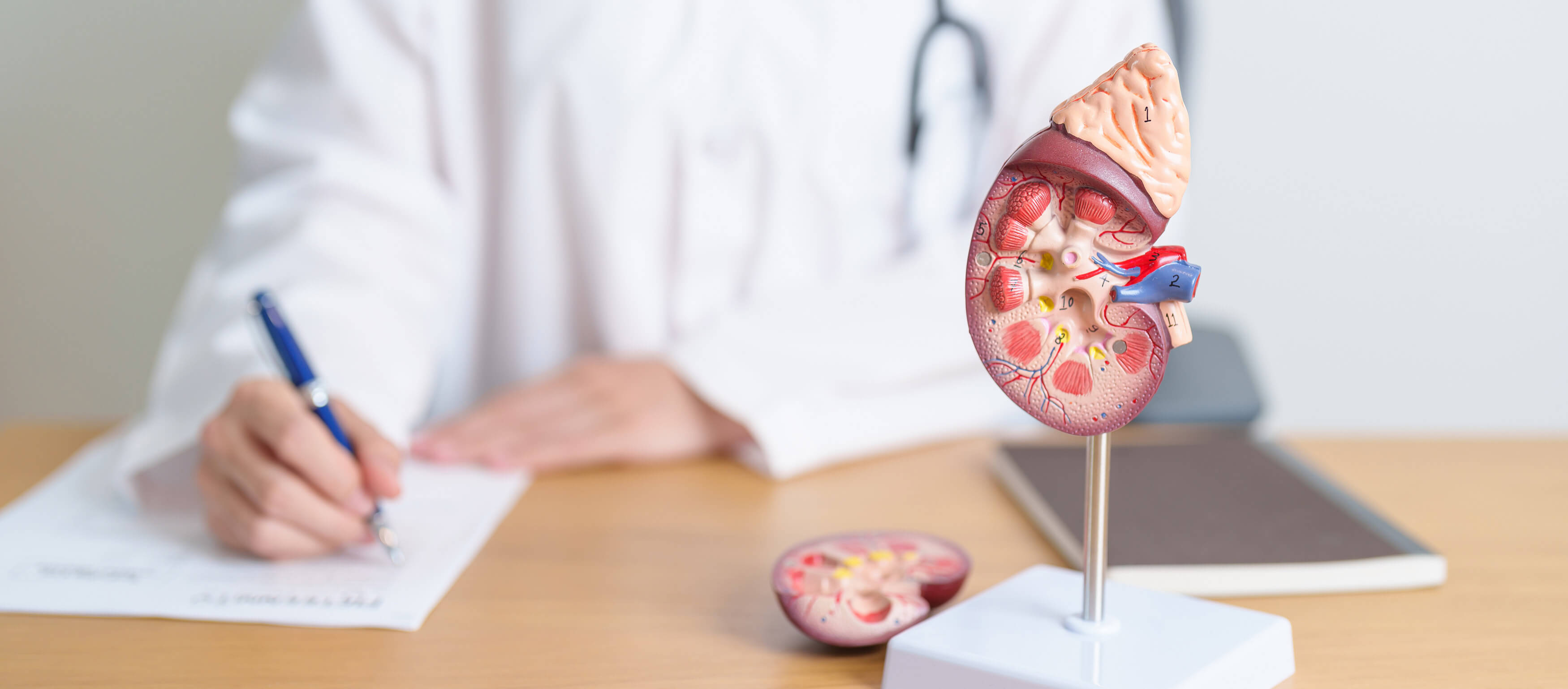 Urologie