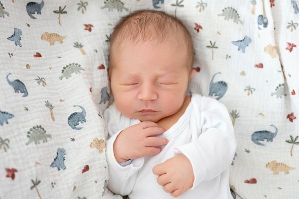 Alessio
