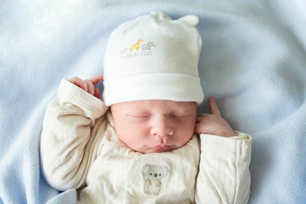 Alessio