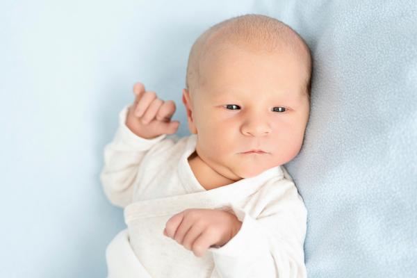 Damiano