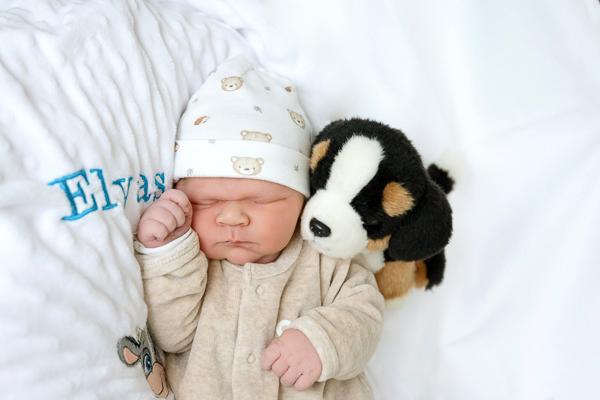 Elyas