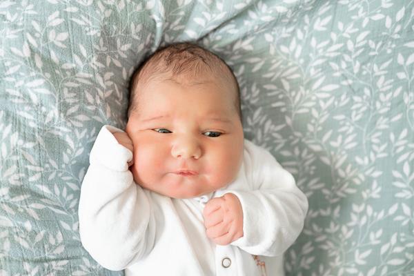 Mateo